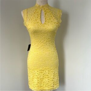 Bebe fitted lace dress